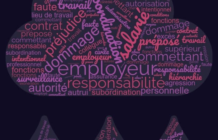 Nuage de mots responsabilité des employeurs du fait de leurs salariés