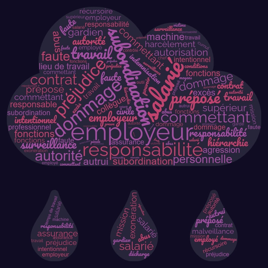 Nuage de mots responsabilité des employeurs du fait de leurs salariés