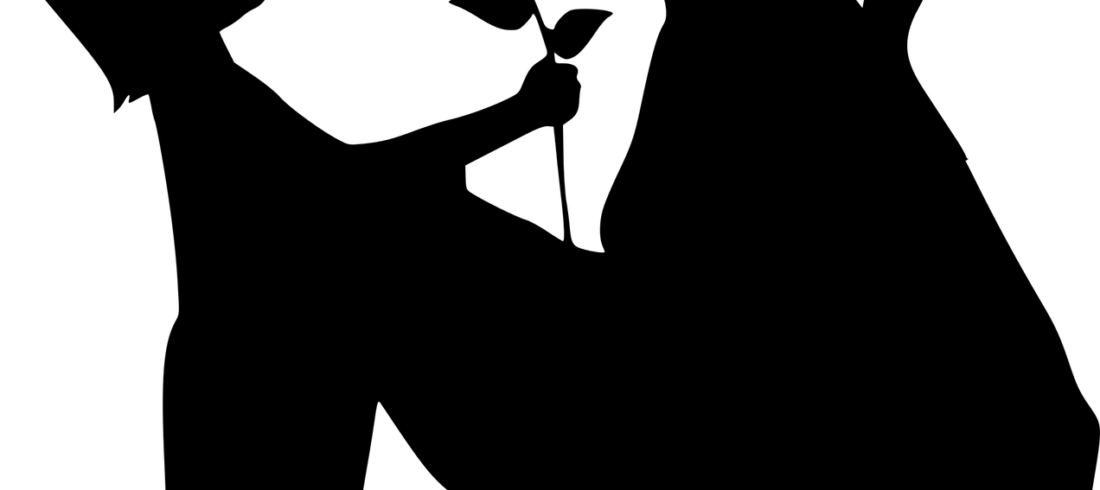 adoption plénière