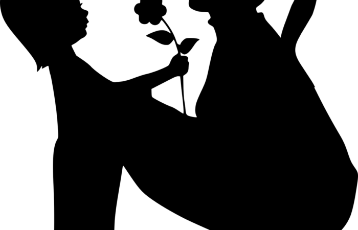 adoption plénière